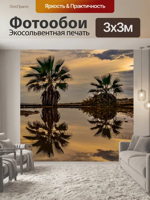 Фотообои Пальмы