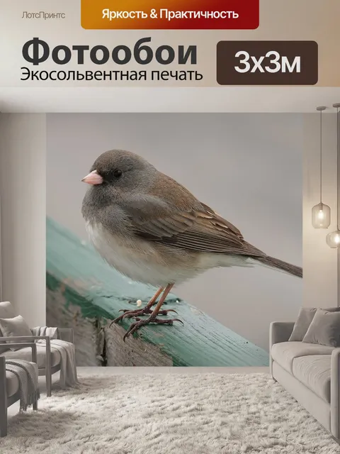 Фотообои Птицы