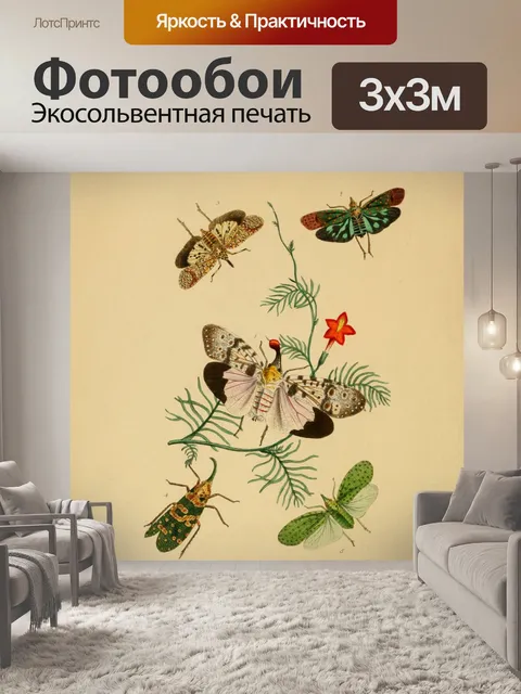 Фотообои Бабочки Винтажное Искусство