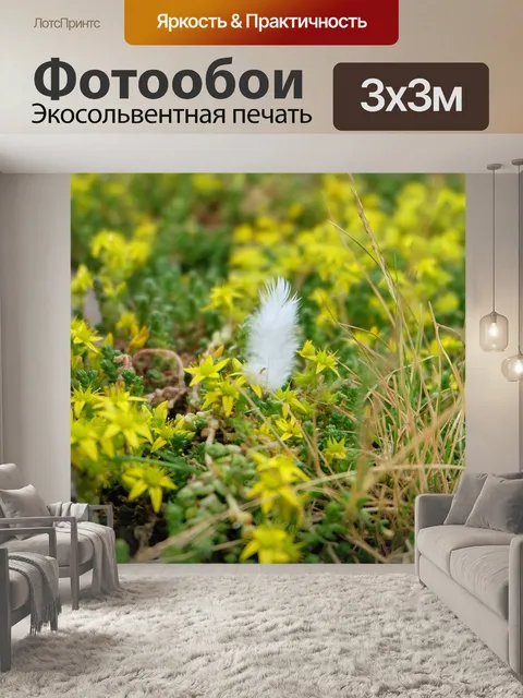 Фотообои Перо