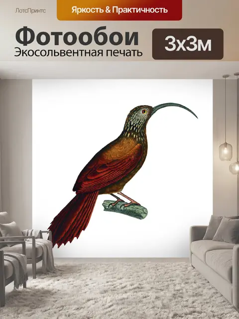 Фотообои Винтажное Искусство Птицы