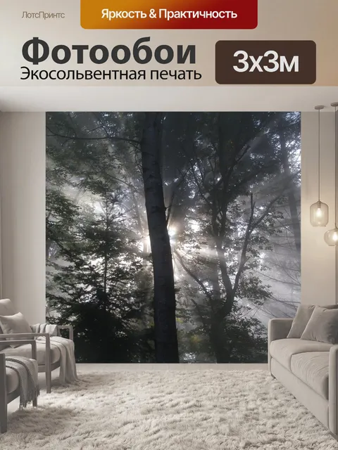 Фотообои Лес