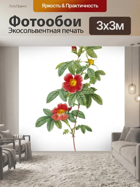 Фотообои Винтаж Клипарт Роза цветок
