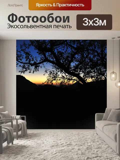 Фотообои Восход 06