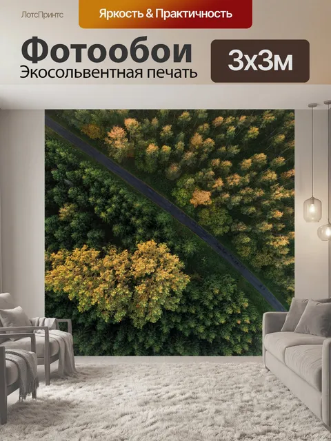 Фотообои Лес