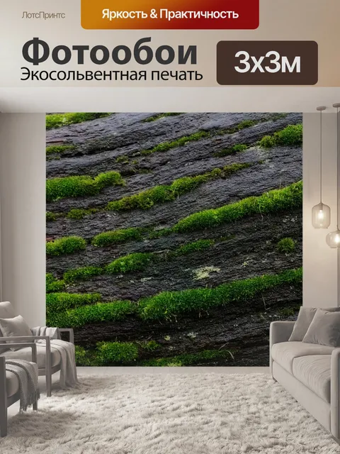 Фотообои Мох ствол дерева вуд дерево