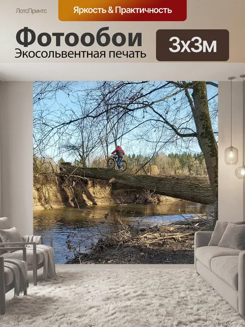 Фотообои Виды спорта