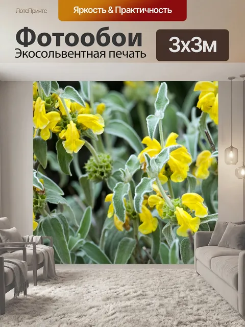 Фотообои Желтый Цветочный пейзаж