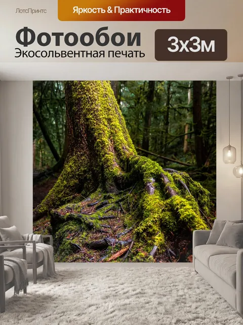 Фотообои Дерево