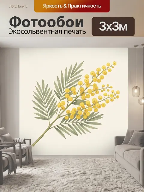 Фотообои Ветка мимозы с листьями