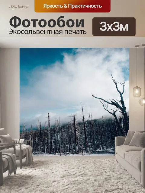 Фотообои Деревья