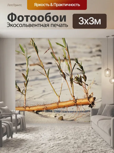 Фотообои Пляж