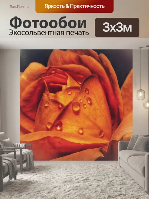 Фотообои Роза