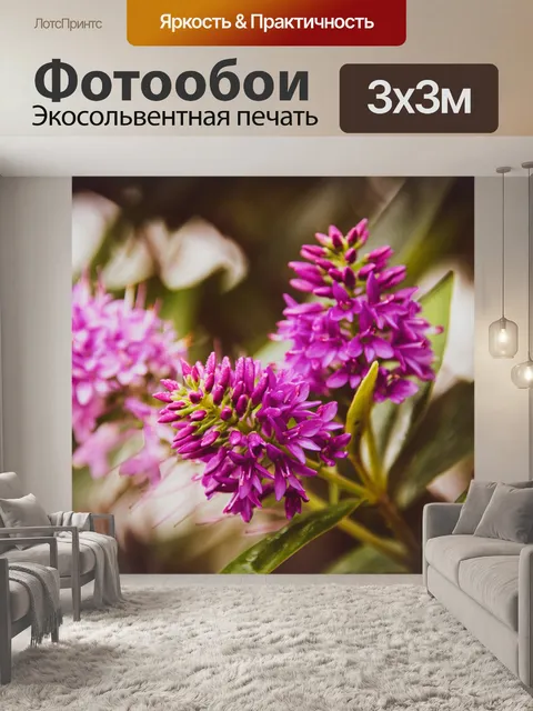 Фотообои Растение, Геба, розовые цветы