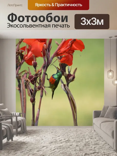 Фотообои Цветок