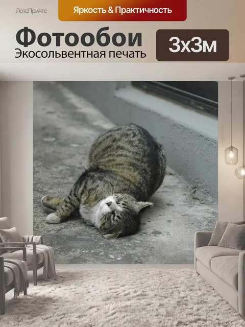 Фотообои Кошка