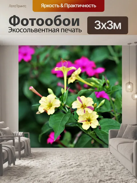 Фотообои Четыре крупного плана