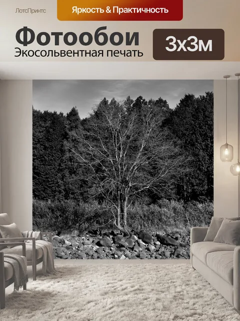 Фотообои Дерево