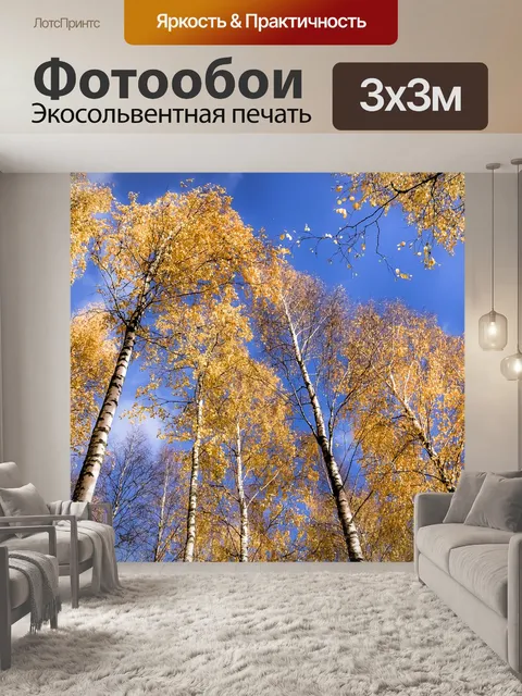 Фотообои Береза