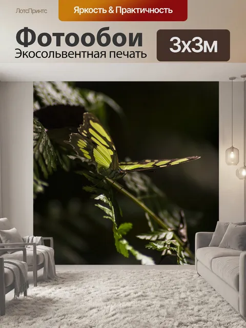 Фотообои Бабочка