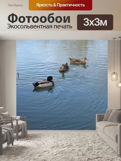 Фотообои Утки