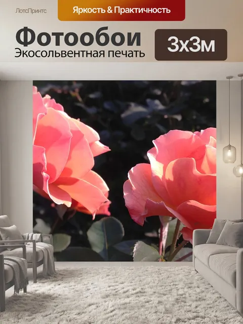 Фотообои Розы