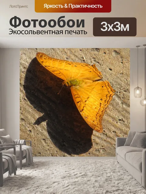 Фотообои Бабочка