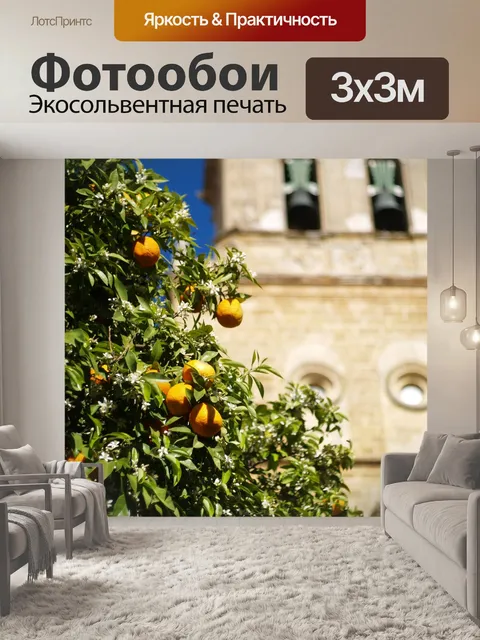 Фотообои Апельсин