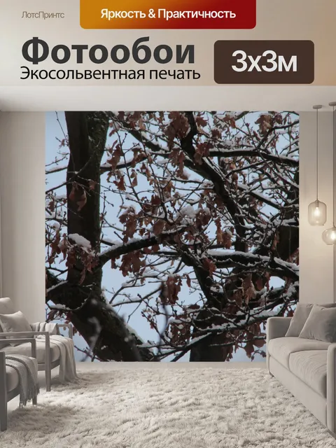 Фотообои Фон