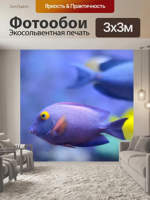 Фотообои Рыбы