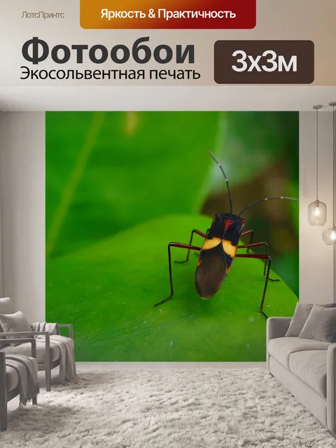 Фотообои Насекомое