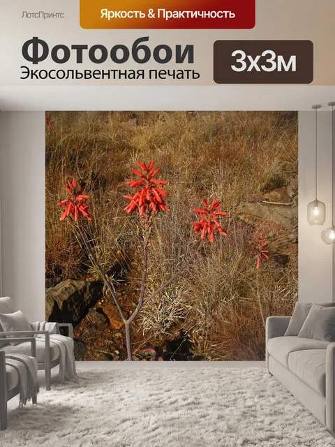 Фотообои розовые цветы алоэ в Южной Африке