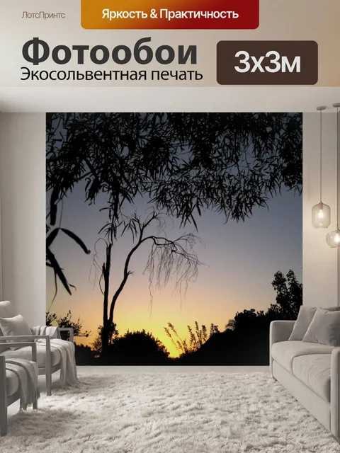 Фотообои закат среди пышной роста