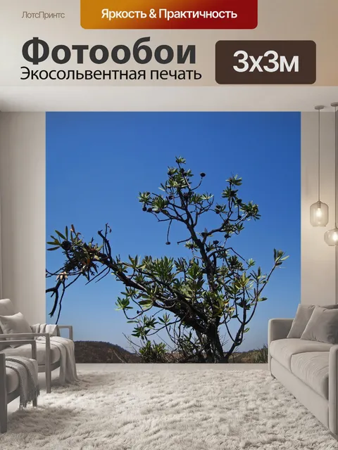 Фотообои сахарный куст с зелеными листьями