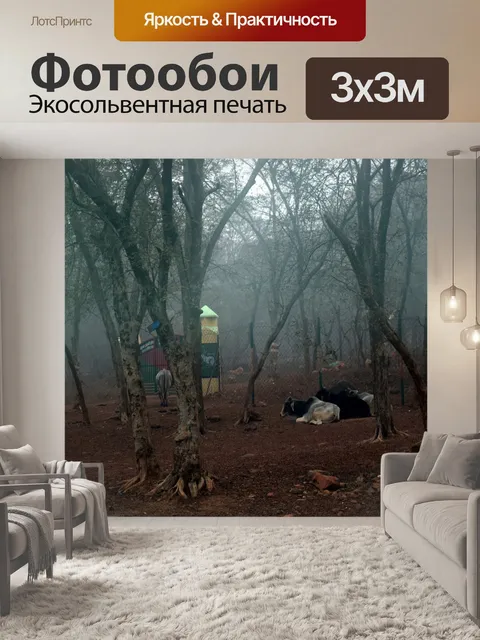 Фотообои Туманный лес 4