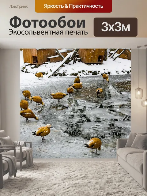 Фотообои Зима