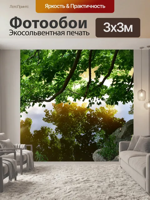 Фотообои Цвет