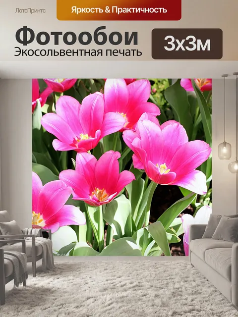 Фотообои Тюльпаны