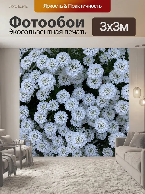 Фотообои Цветы
