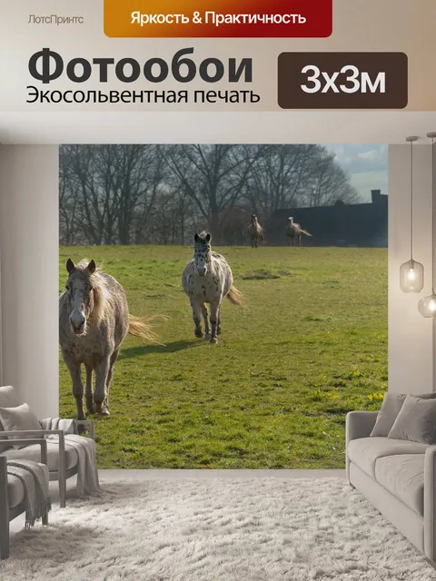 Фотообои Лошадь