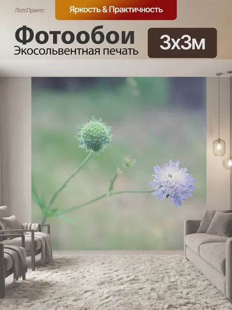 Фотообои Цветы