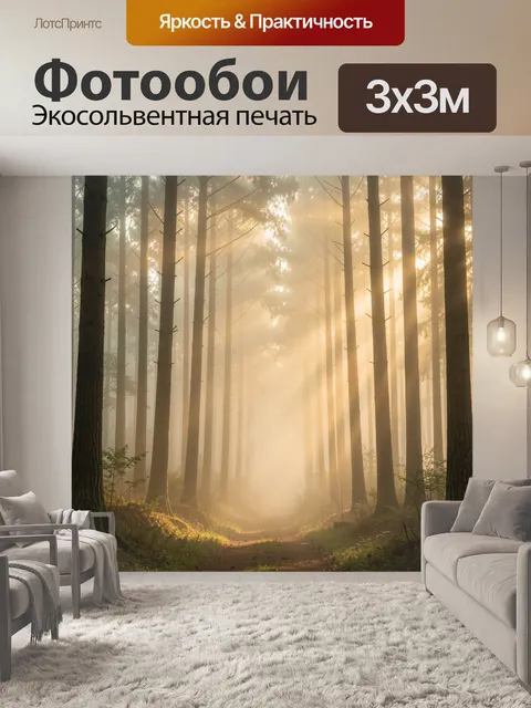 Фотообои Солнечный лес в тумане