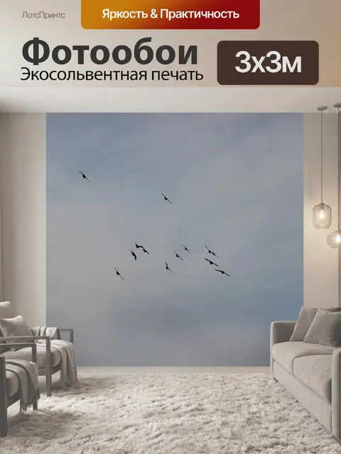 Фотообои Птицы