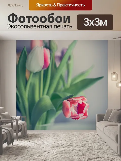 Фотообои Тюльпан