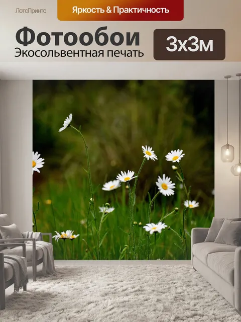 Фотообои Маргаритка