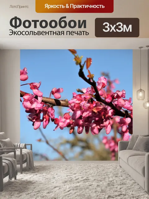 Фотообои Редбад Дерево Цветет и Роса