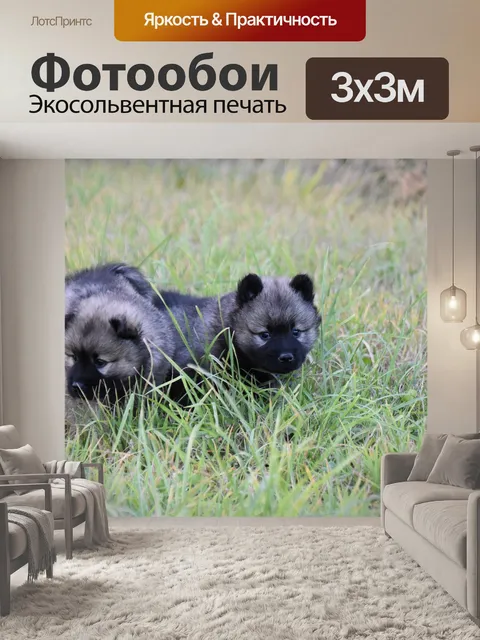 Фотообои Собаки
