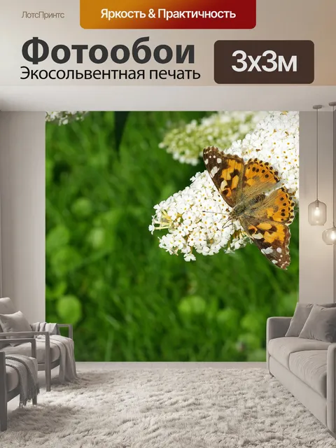 Фотообои Чертополох бабочка