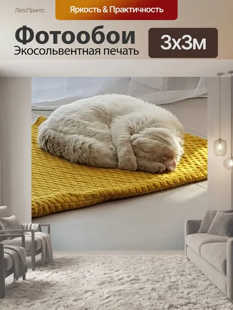 Фотообои Кошка