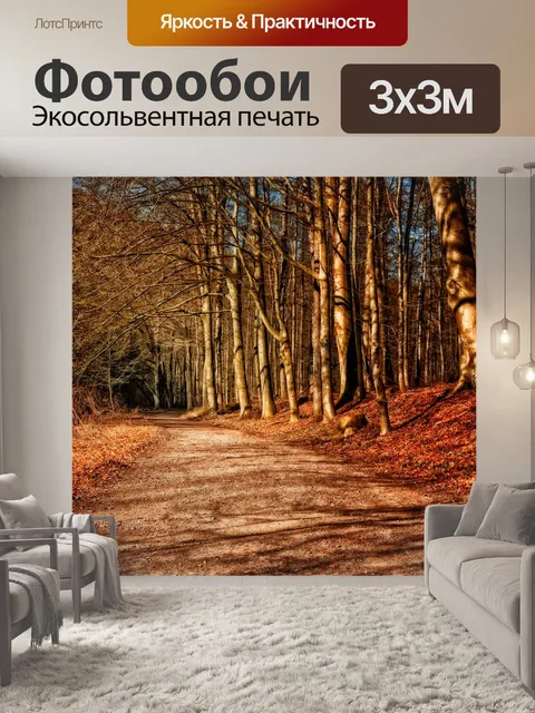 Фотообои Лес